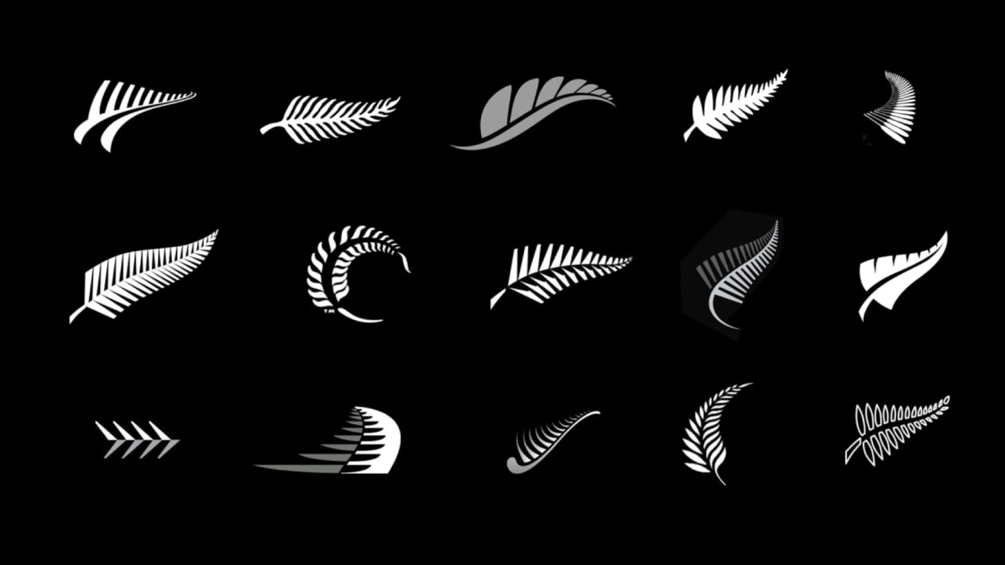 Sporting Silver Ferns - Image by Dan Newman