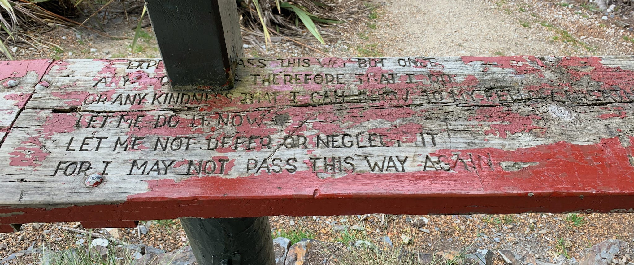 Seat outside Mount Arthur Hut, Kahurangi National Park