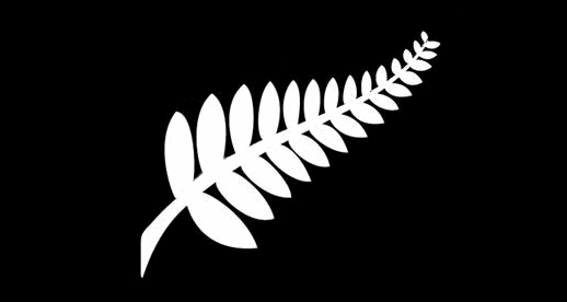 Silver Fern Flag